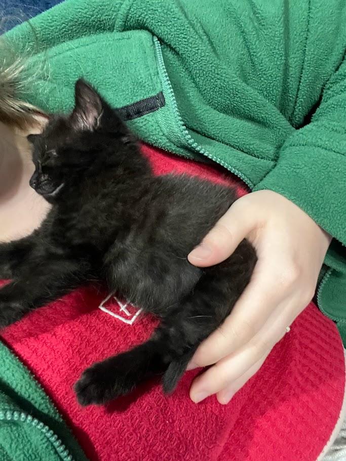 An Unexpected Addition